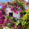 Отель Casa Portuguesa, фото 1