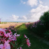 Отель Trafalgar Polo Club, фото 29