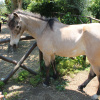 Отель Agriturismo Piccolo Paradiso, фото 27