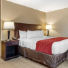 Отель Hampton Inn Lansing, фото 2