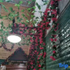 Отель Ya'an Gasa Tibetian Inn, фото 8