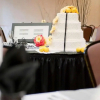 Отель Hampton Inn and Suites Columbia - University of Missouri, фото 12