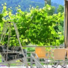 Отель Guest House Gardenia & Wine Cellar, фото 2