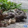 Отель Lishe Huayuan Inn, фото 7