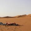 Отель Berber Bivouac Chegaga, фото 18