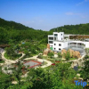 Отель Chengmao Intoxication Hot Spring Hotel, фото 15