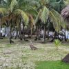 Отель San Blas Paradise Private Cabins on Shipwreck Island - meals included, фото 8