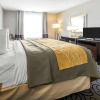 Отель Comfort Inn & Suites, фото 5