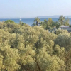 Отель Martı Pansiyon Ören, фото 14