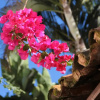 Отель Pousada Do Cais, фото 12