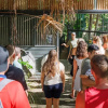 Отель Roamer Magnetic Island Koala Park, фото 34
