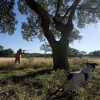 Отель Joshua Creek Ranch, фото 28