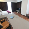 Отель Nexus Business Suite Hotel, фото 4