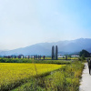 Отель Gangneung Bow The Way Guest House, фото 12