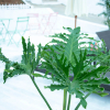 Отель Floral Hotel Green Bamboo(Yunshang Grassland Dazhuhai), фото 34