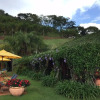 Отель Reserva Ecolodge Eldorado, фото 22