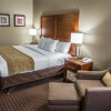 Отель Comfort Inn & Suites Riverview, фото 6