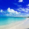 Отель Treasure Cay Beach, Marina & Golf Resort, фото 9