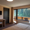 Отель Carpatica Lodge, фото 3