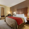 Отель Comfort Inn, фото 4