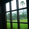 Отель Suan Sook Homestay, фото 15