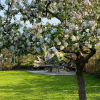 Отель Holly Cottage, фото 3