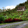 Отель Kinabalu Mountain Lodge, фото 17