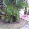 Отель Seabliss Villa, фото 23