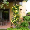 Отель Apartment with 3 Bedrooms in Colle Diana, with Enclosed Garden And Wifi, фото 11