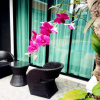 Отель Namthong Nan Hotel, фото 37