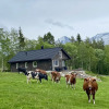 Отель Heinåli Hytta, фото 8