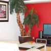 Отель Magia Penthouse Dreams, фото 1