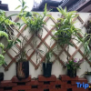 Отель Mangshi No.1 Courtyard Homestay (Yi Nationality Ancient Town Branch), фото 7