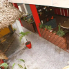 Отель Flying Dog Hostels Iquitos, фото 7