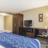 Отель Comfort Inn Sunnyvale - Silicon Valley, фото 4