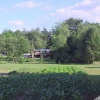 Отель Gray Wolf Mountain Inn, фото 16