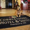 Отель Cobblestone Hotel - Fairbury, фото 20