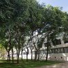 Отель Vila Olímpica-Pamplona, фото 12