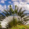 Отель Hôtel Résidence Océane, фото 18