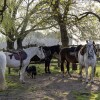 Отель Estancia Los Patos, фото 32