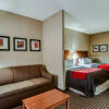 Отель Comfort Inn & Suites, фото 5