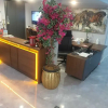 Отель St945 Palas Otel, фото 31