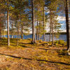 Отель Torassieppi Eco Reindeer Resort, фото 4