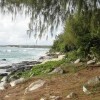 Отель Tinian Ocean View Hotel, фото 18