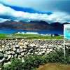 Отель TIH Pangong Delight Camps and Cottages, фото 29