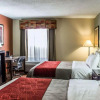 Отель Comfort Inn, фото 6