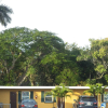 Отель Glades Motel - Naples, фото 8
