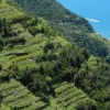 Отель Villa Cinque Terre, фото 25