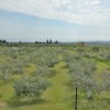 Отель Zeusplace Olympus Olive Country House 4, фото 31