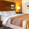 Отель Comfort Inn & Suites Midtown, фото 4